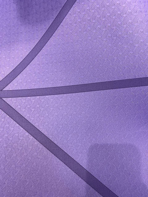 قیمت مت یوگا الکس